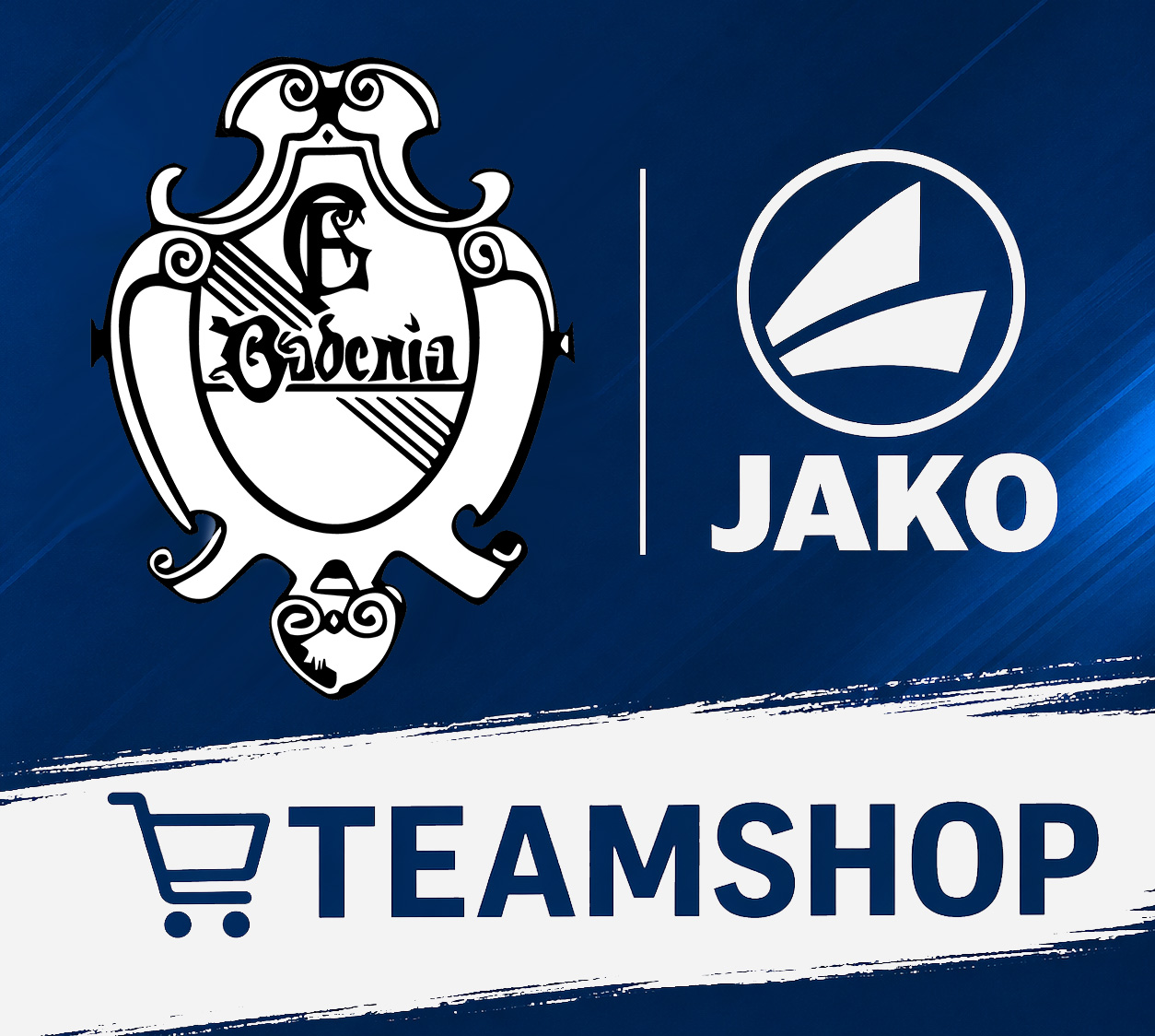 Link zum Teamshop